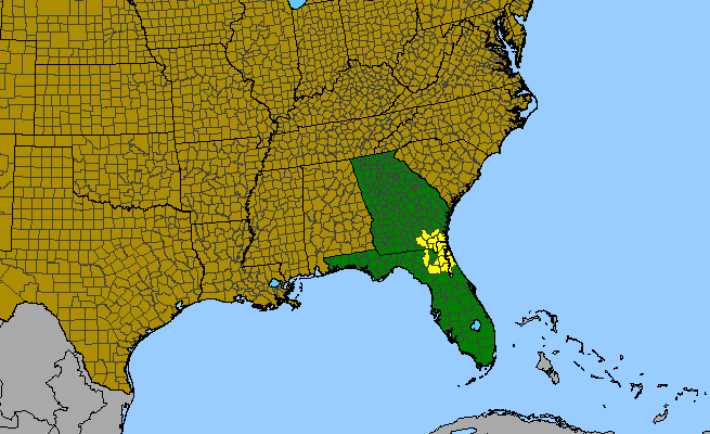 The range of Ctenium floridanum